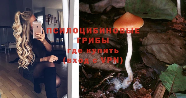 каннабис Приозерск